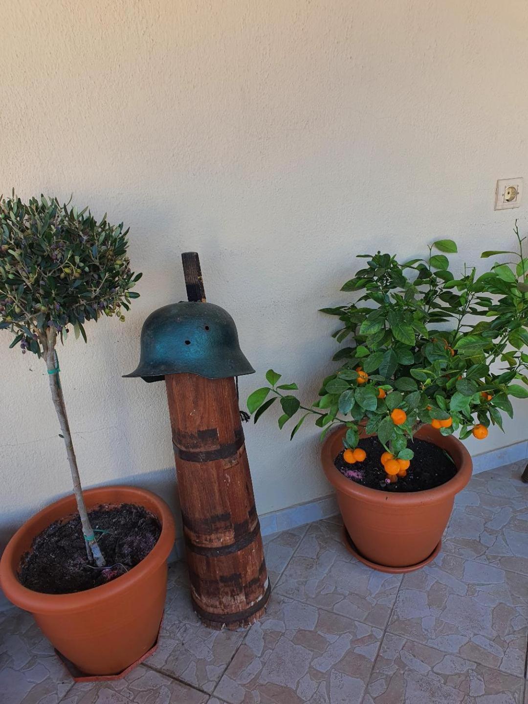 אורמה Alexandros Guesthouse מראה חיצוני תמונה
